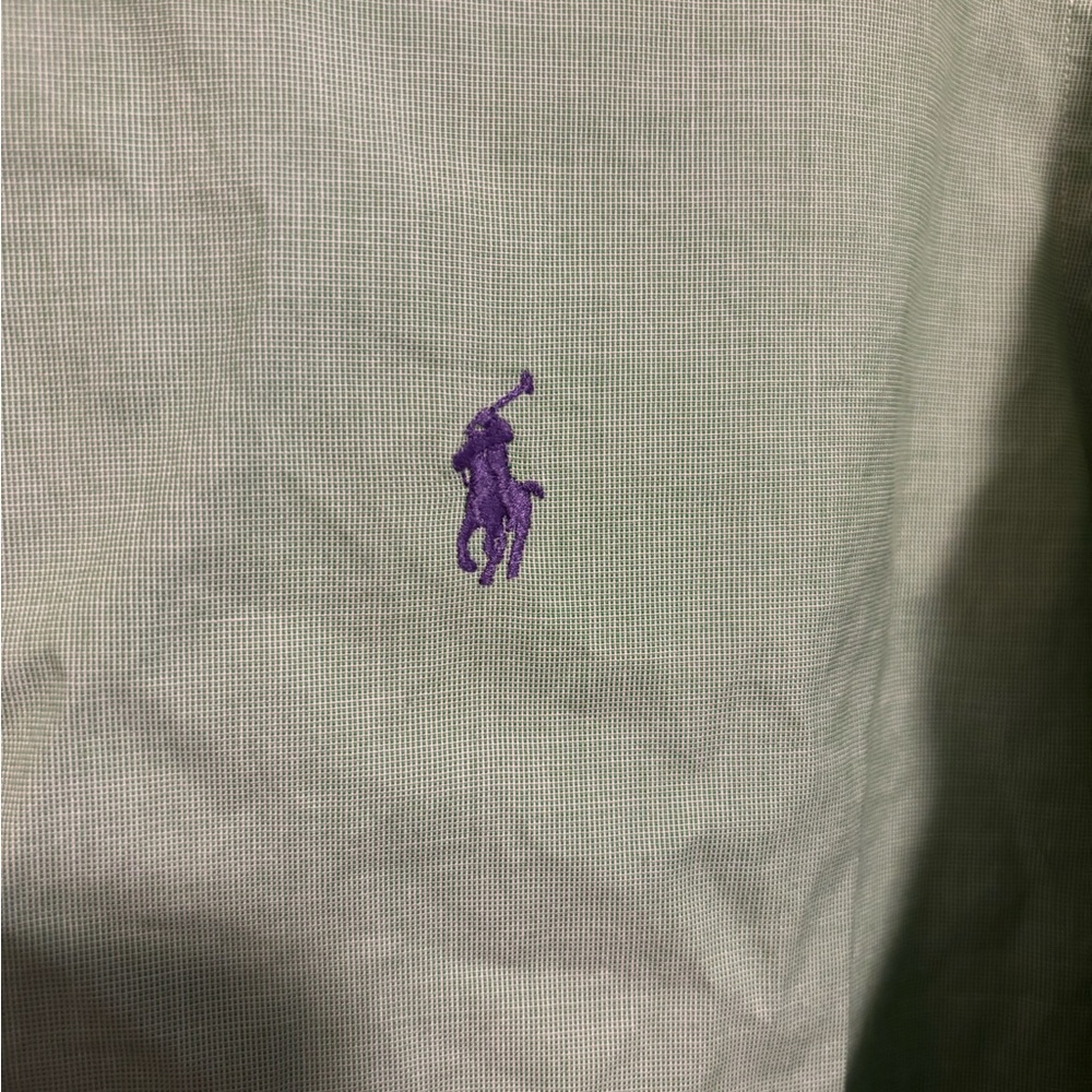 RALPH LAUREN Men’s Pastel Green Long Sleeve Button-down Shirt - Picture 2 of 5
